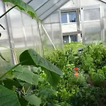 Hostel Hostel Stralsund *