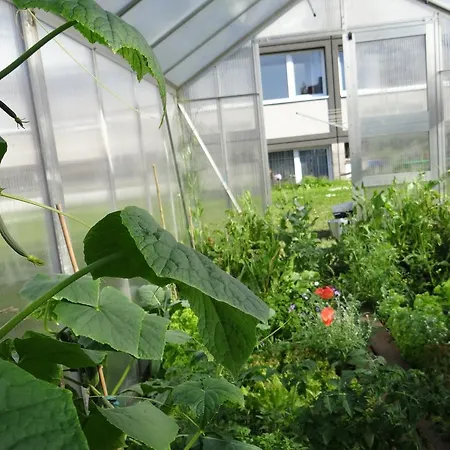 Auberge de jeunesse Hostel Stralsund *