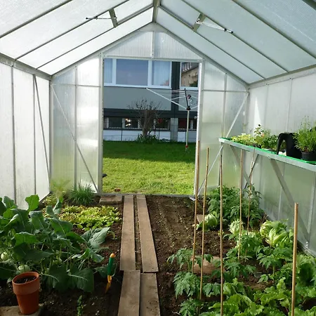 Hostel Hostel Stralsund Στράλσουντ