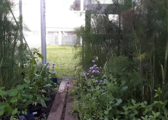 Hostel Stralsund Hostel Stralsund