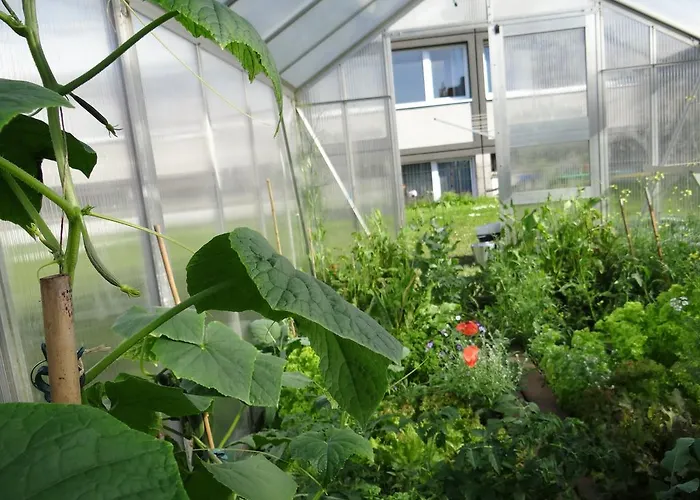 Hostel Hostel Stralsund *