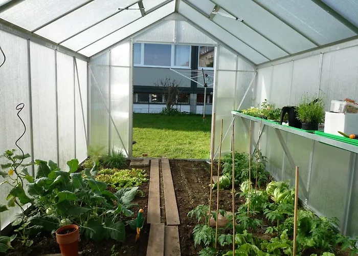 Hostel Hostel Stralsund Stralsund